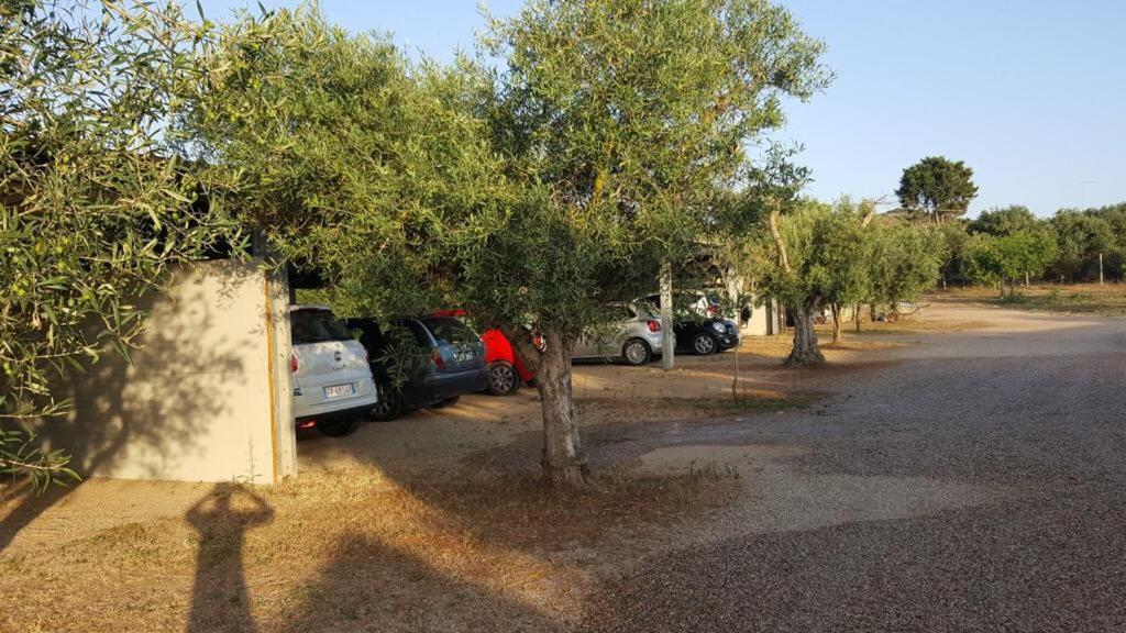 Agriturismo Sa Ruda Càbras Exterior foto